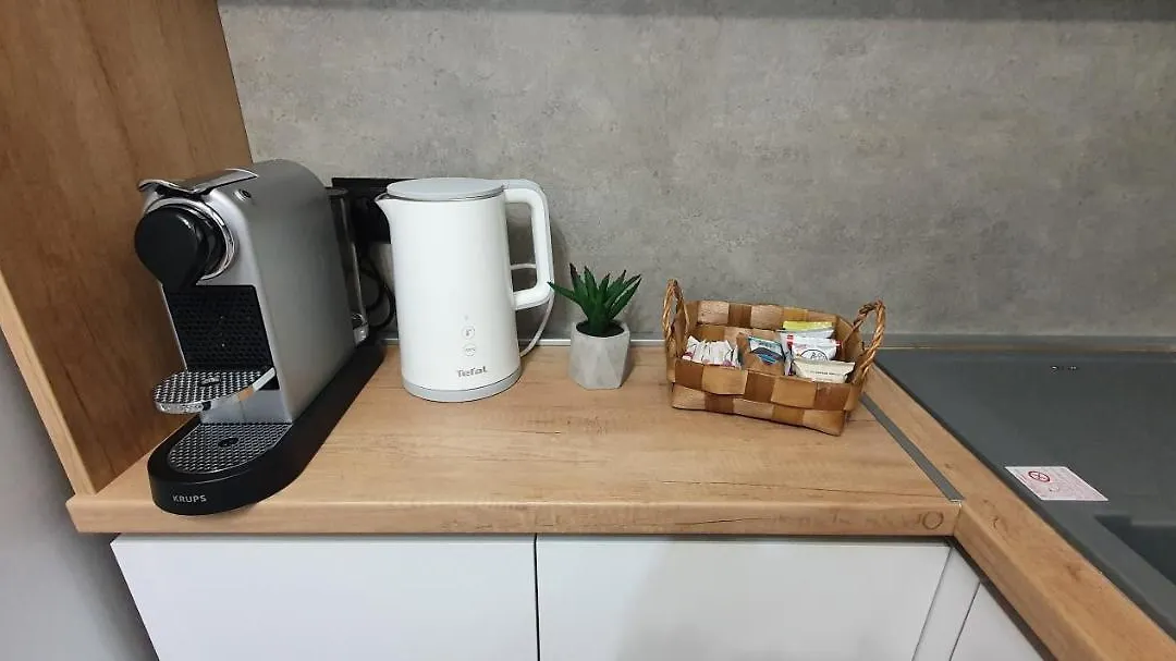 Ideal Apartment For Rent In Chisinau-1