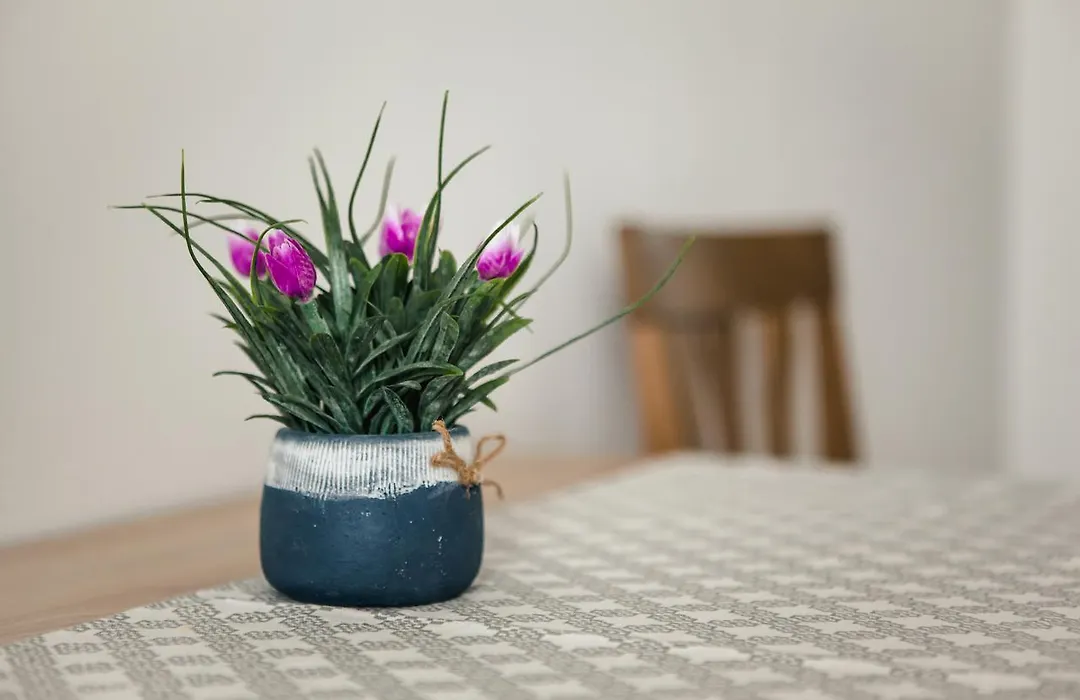 1 Bedroom Flat Near Shopping Malldova!-1