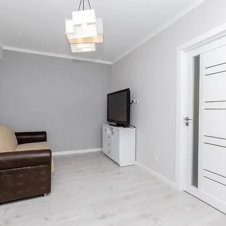 Apartament In Zona Centrala Si Parc-3