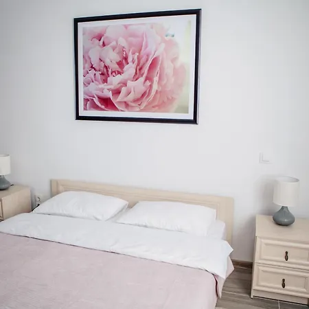 1 Bedroom Flat Near Shopping Malldova!-3